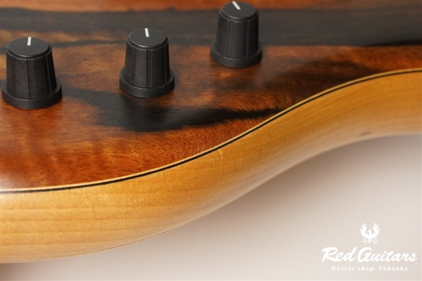 Platinum Series Single-Cut , e-volution 5 - Macassar Ebony